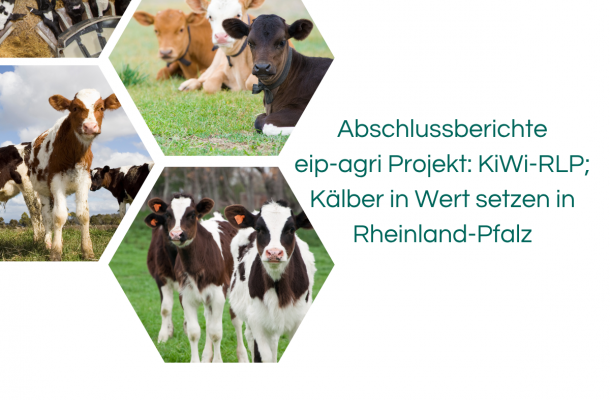 Abschlussbericht _ Teil1