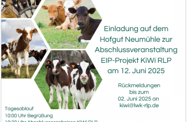 Einladung Abschlussveranstaltung